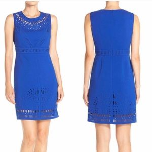 Eliza J Laser Cut Crepe Sheath Dress Blue New With Tags